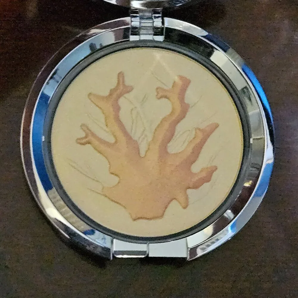 RARE LIMITED EDITION JAY STRONGWATER CHANTECAILLE CORAL CRYSTAL ENAMEL COMPACT